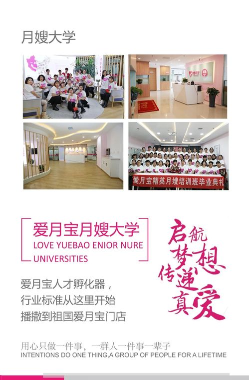 愛(ài)月寶月嫂培訓(xùn)加盟 為什么它成為行業(yè)新標(biāo)桿？